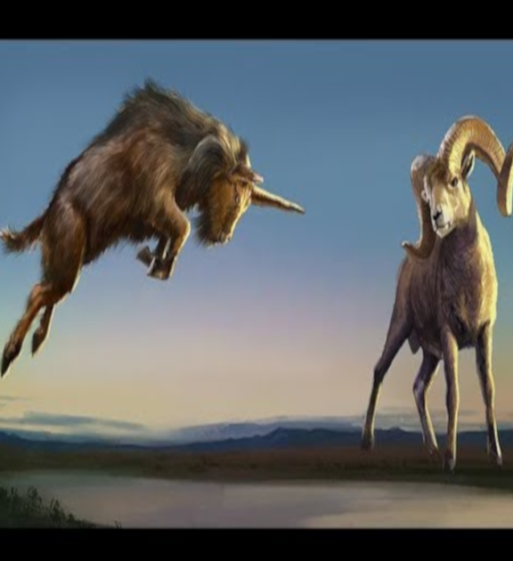 the goat and the ram